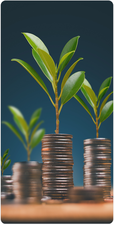 Private Wealth Management